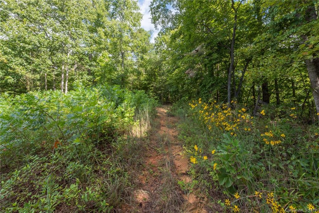 273 Hawkins Drive W Marion NC 28752