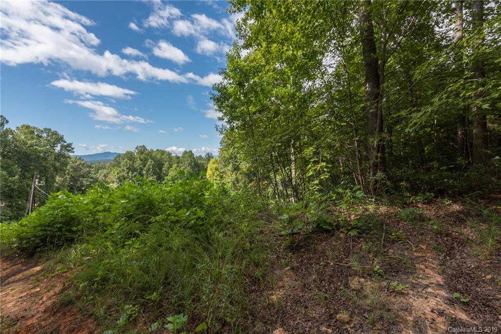 273 Hawkins Drive W Marion NC 28752