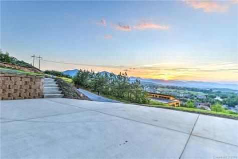 64 Climbing Aster Way Asheville NC 28806