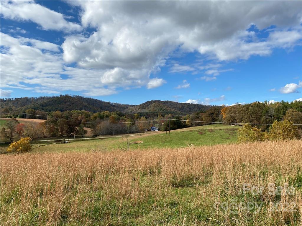 99999 Thistle Ridge Court Fletcher NC 28732