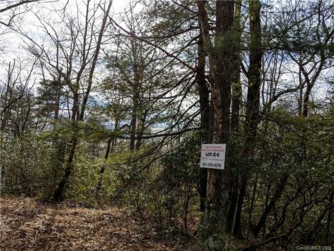 000 Dogwood Drive Penrose NC 28766