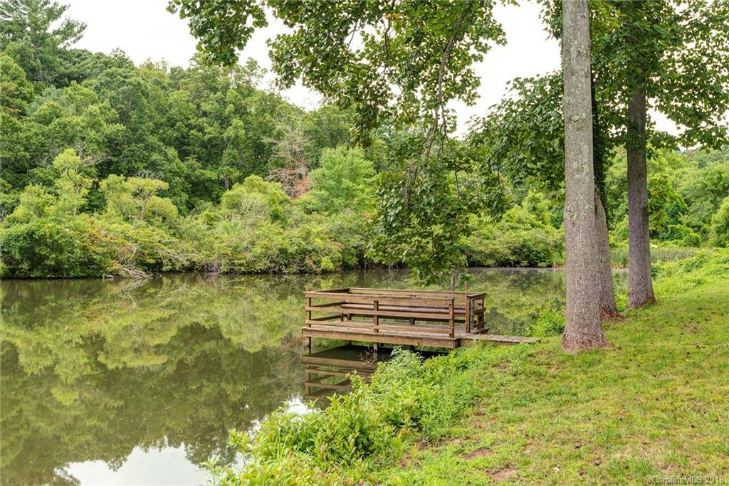 157 White Pine Drive Asheville NC 28805