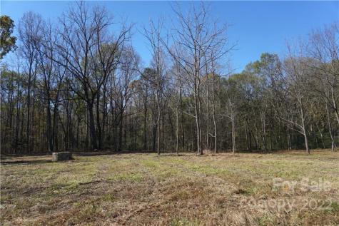 10.64 Ac Burree Road Clover SC 29710