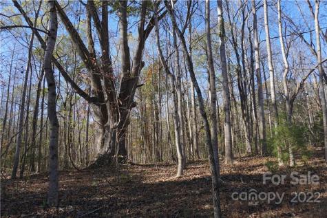 10.64 Ac Burree Road Clover SC 29710