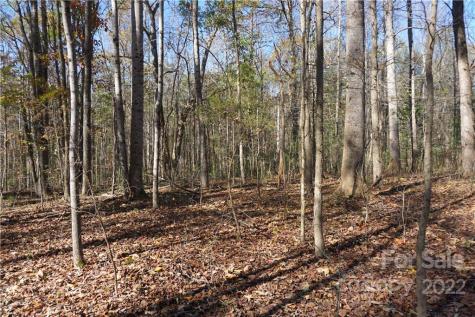 10.64 Ac Burree Road Clover SC 29710