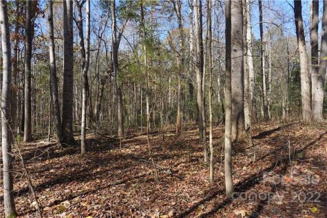 10.64 Ac Burree Road Clover SC 29710