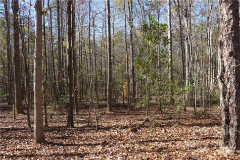 10.64 Ac Burree Road Clover SC 29710
