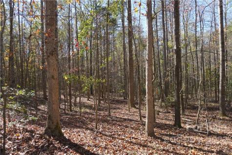 10.64 Ac Burree Road Clover SC 29710