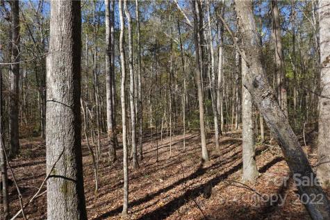 10.64 Ac Burree Road Clover SC 29710