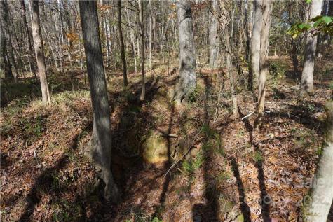 10.64 Ac Burree Road Clover SC 29710