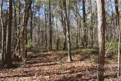 10.64 Ac Burree Road Clover SC 29710