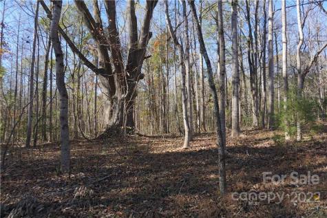 10.64 Ac Burree Road Clover SC 29710