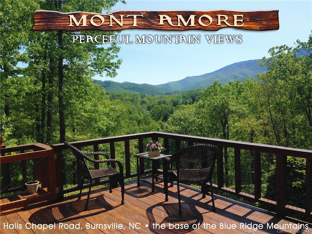 3261 Halls Chapel Road Burnsville NC 28714