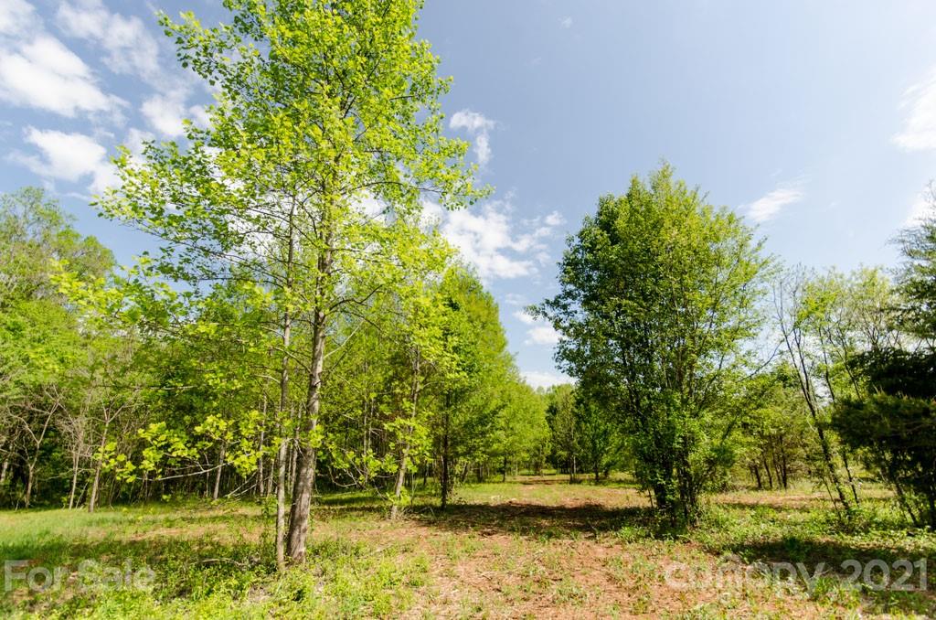 3150 Blackburn Bridge Road Lincolnton NC 28092