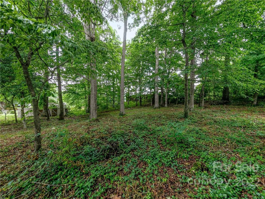 20 Browndale Road Asheville NC 28805