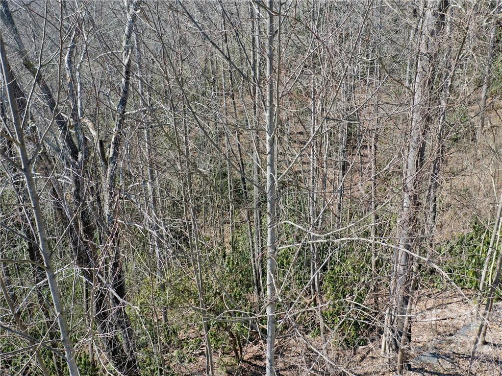 324 Mountain Crest Drive Hendersonville NC 28739