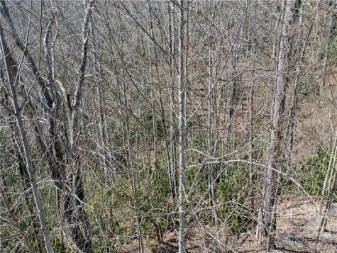 324 Mountain Crest Drive Hendersonville NC 28739