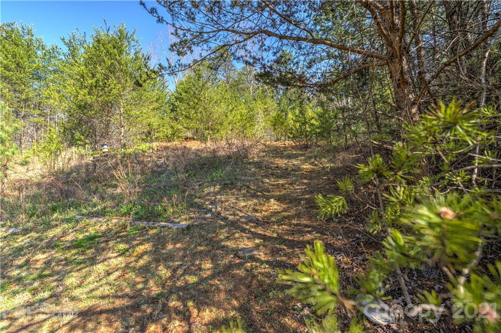 149 Watercrest Drive Marion NC 28752