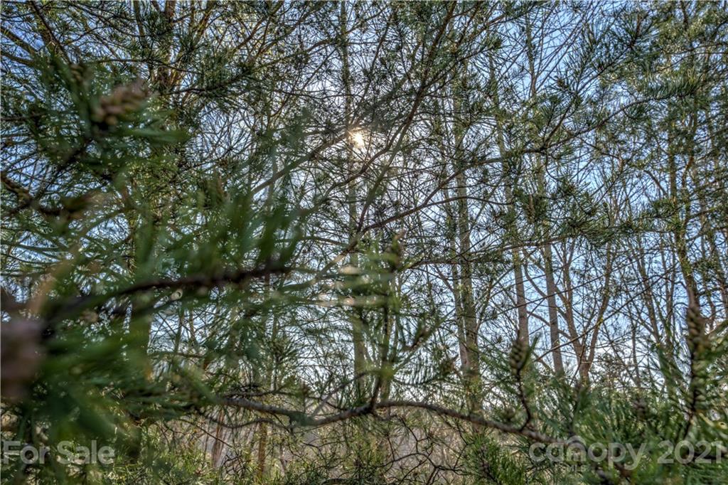 149 Watercrest Drive Marion NC 28752