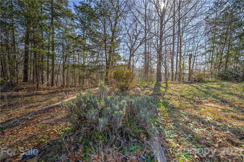149 Watercrest Drive Marion NC 28752