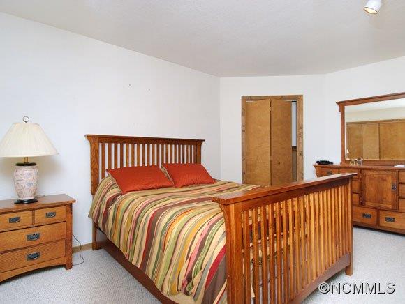 15 Harrison Hill Swannanoa NC 28778