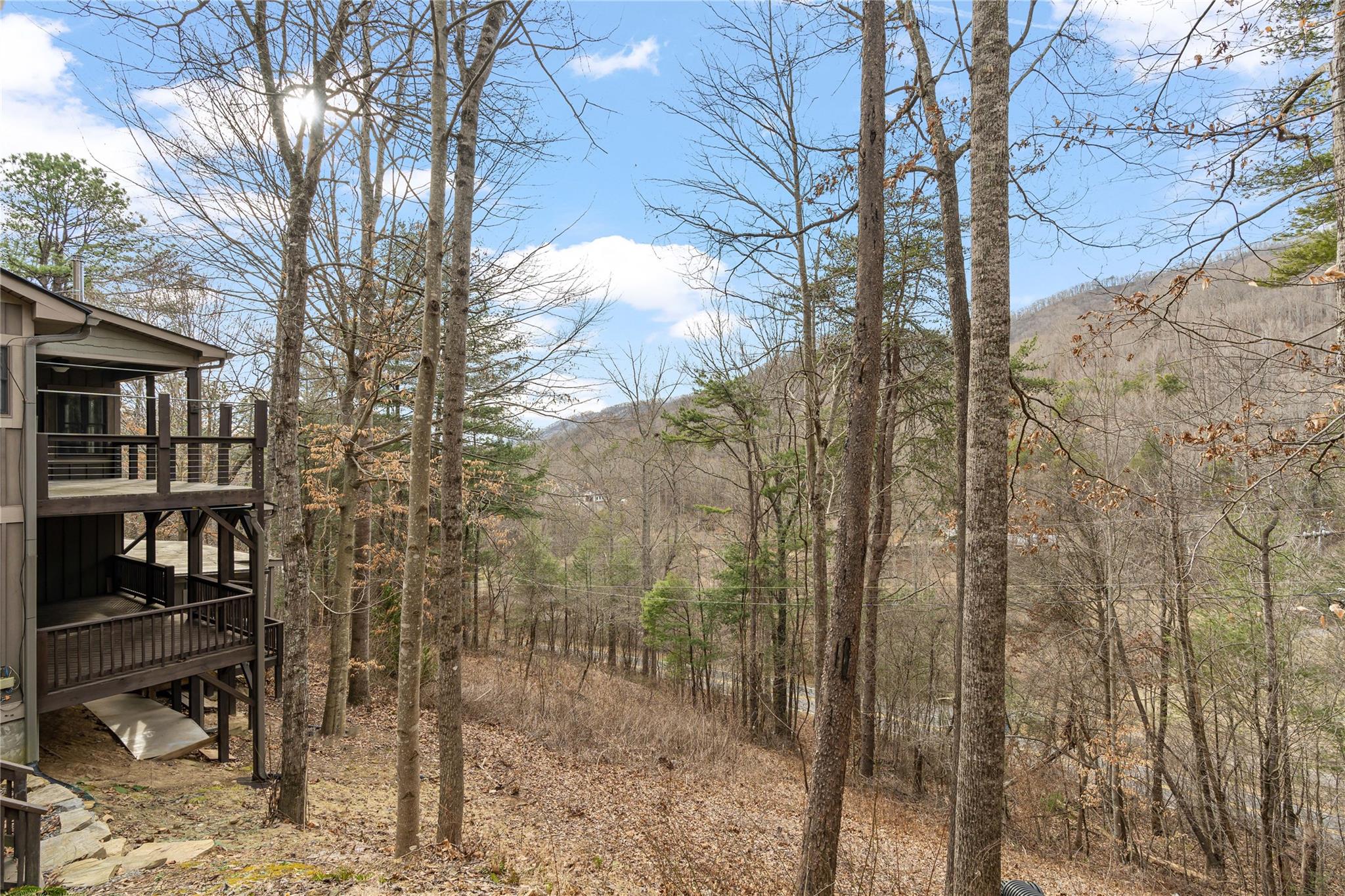 23 Ruffed Grouse Drive Weaverville NC 28787
