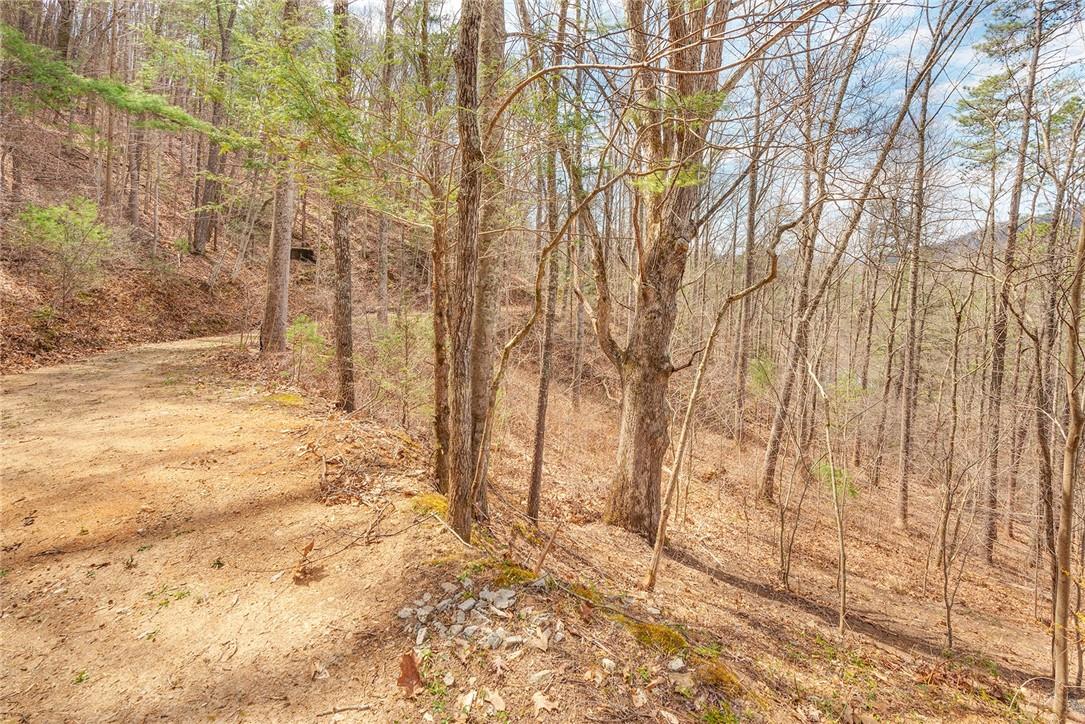 23 Ruffed Grouse Drive Weaverville NC 28787