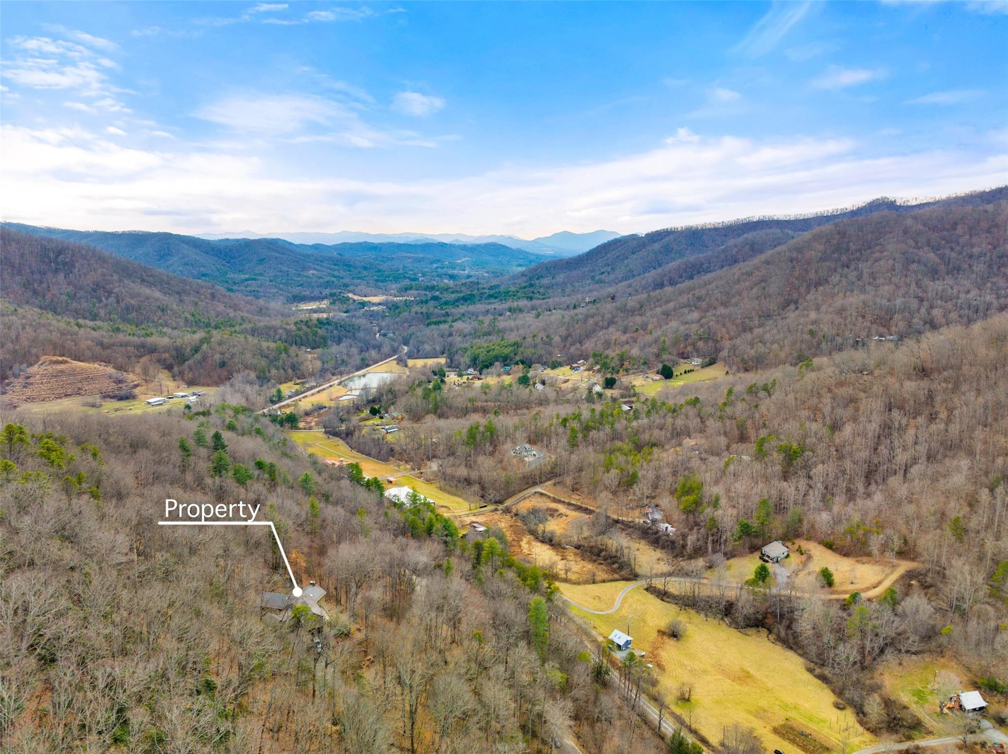 23 Ruffed Grouse Drive Weaverville NC 28787