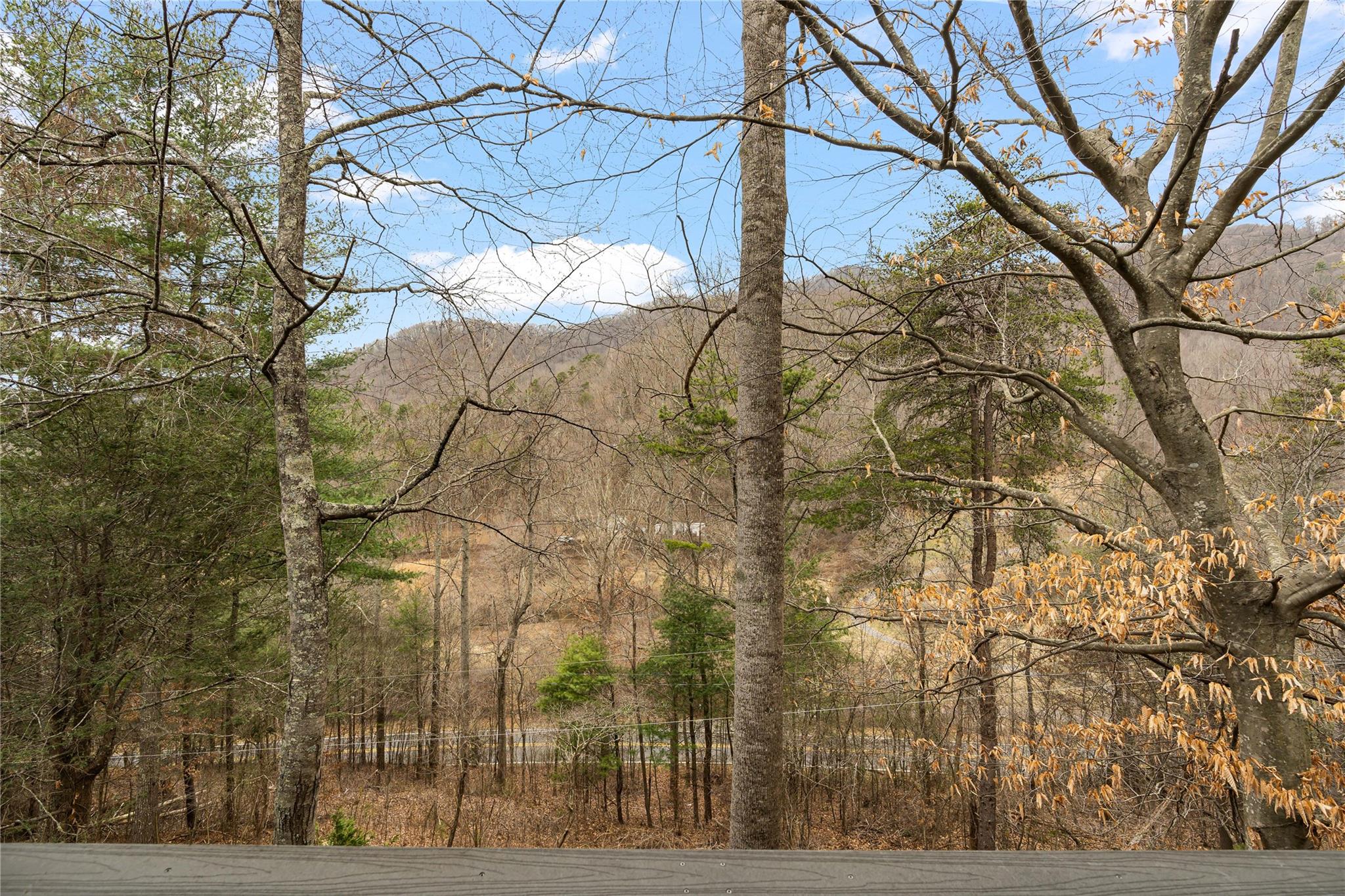 23 Ruffed Grouse Drive Weaverville NC 28787