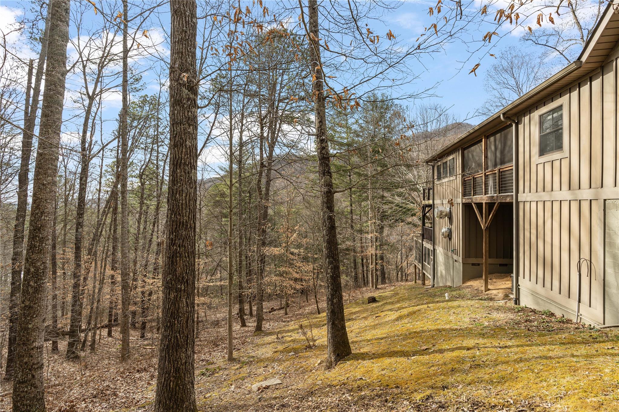 23 Ruffed Grouse Drive Weaverville NC 28787