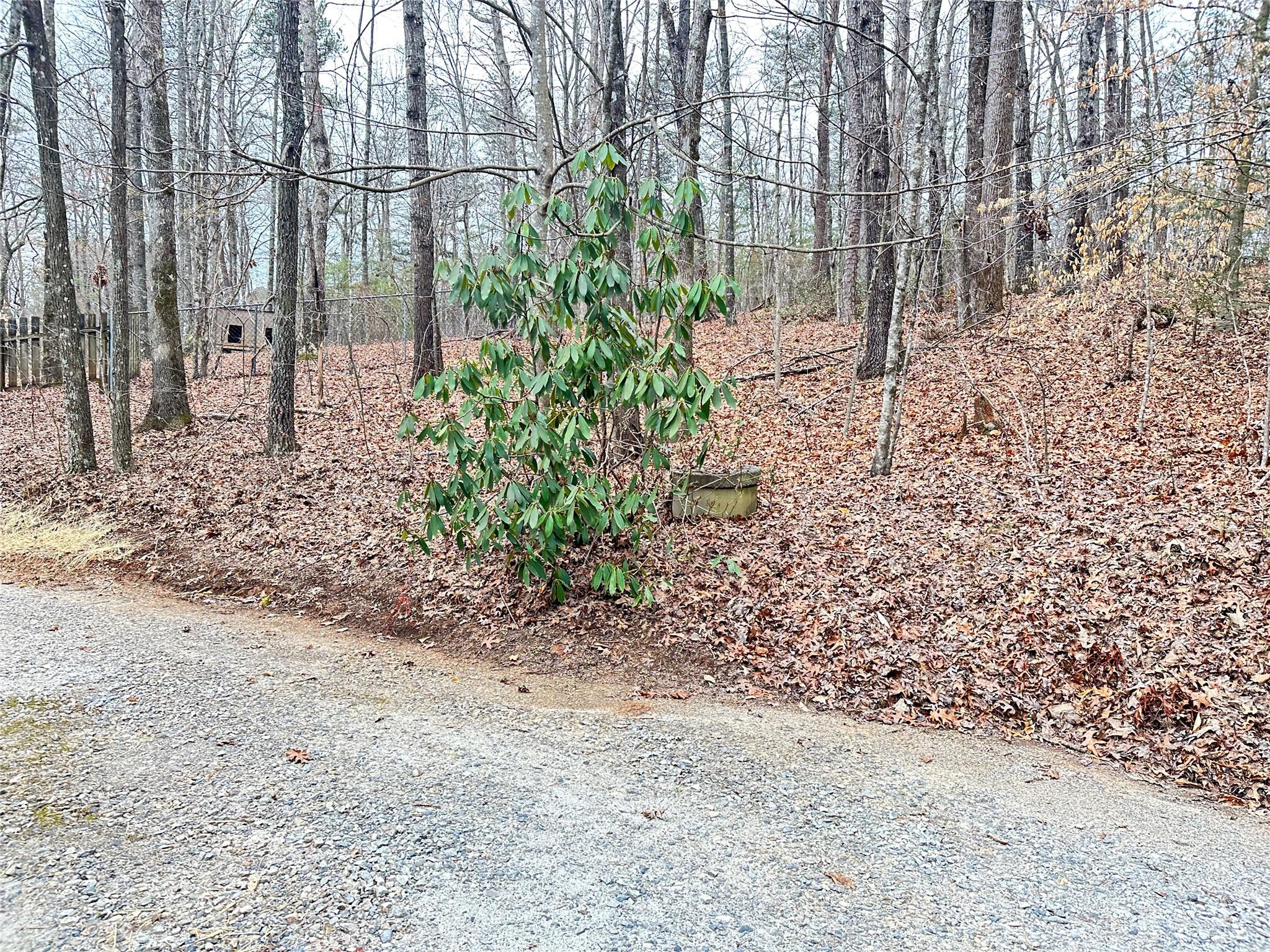 87 Nix Creek Church Road Marion NC 28752