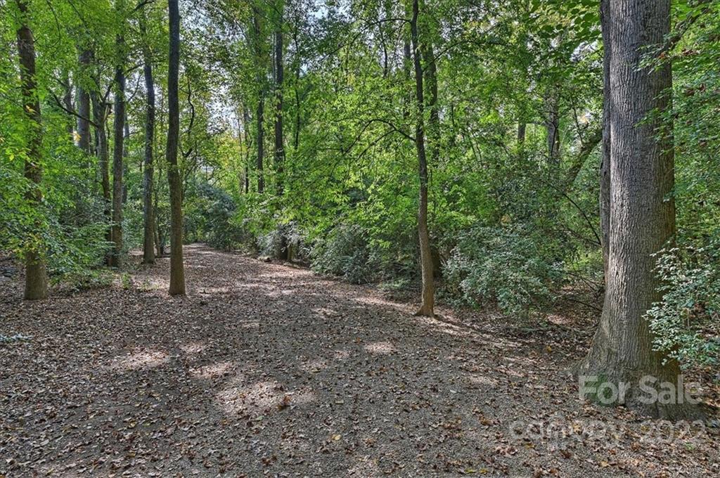 1650 Myers Park Drive Charlotte NC 28207