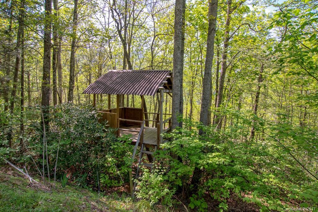 86 Black Bear Trail Black Mountain NC 28711
