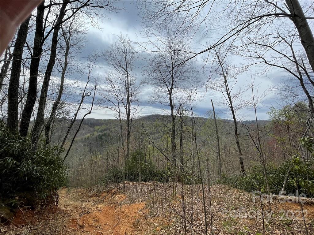 2020 Peppers Creek Road Marion NC 28752