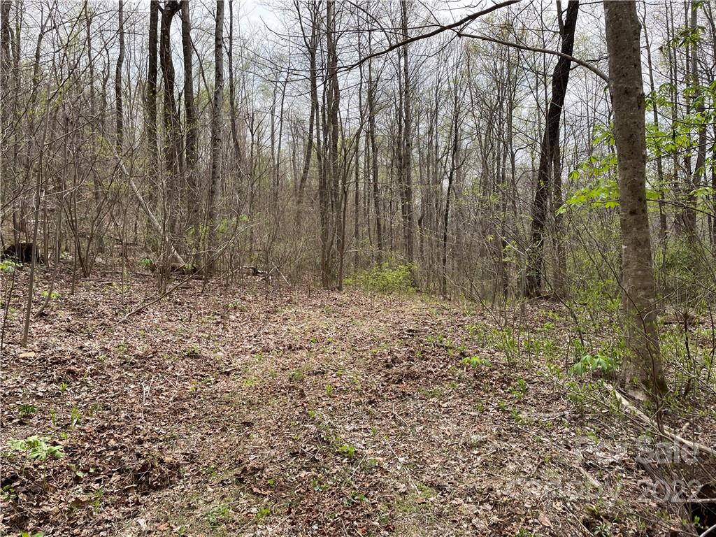 2020 Peppers Creek Road Marion NC 28752