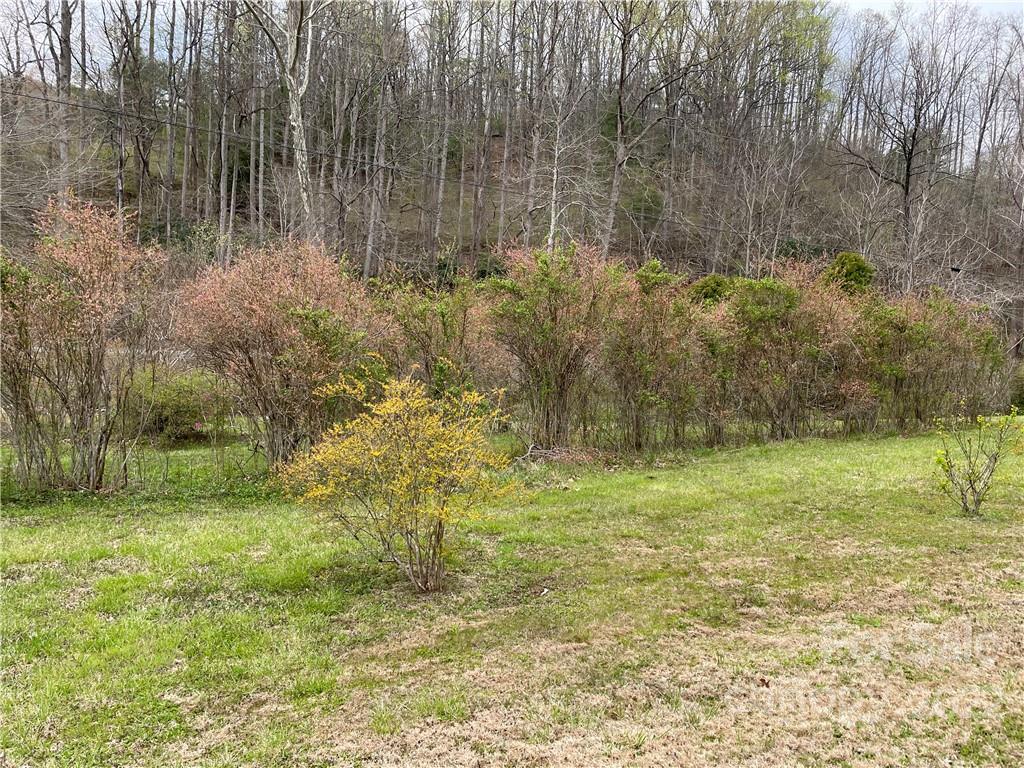 2020 Peppers Creek Road Marion NC 28752