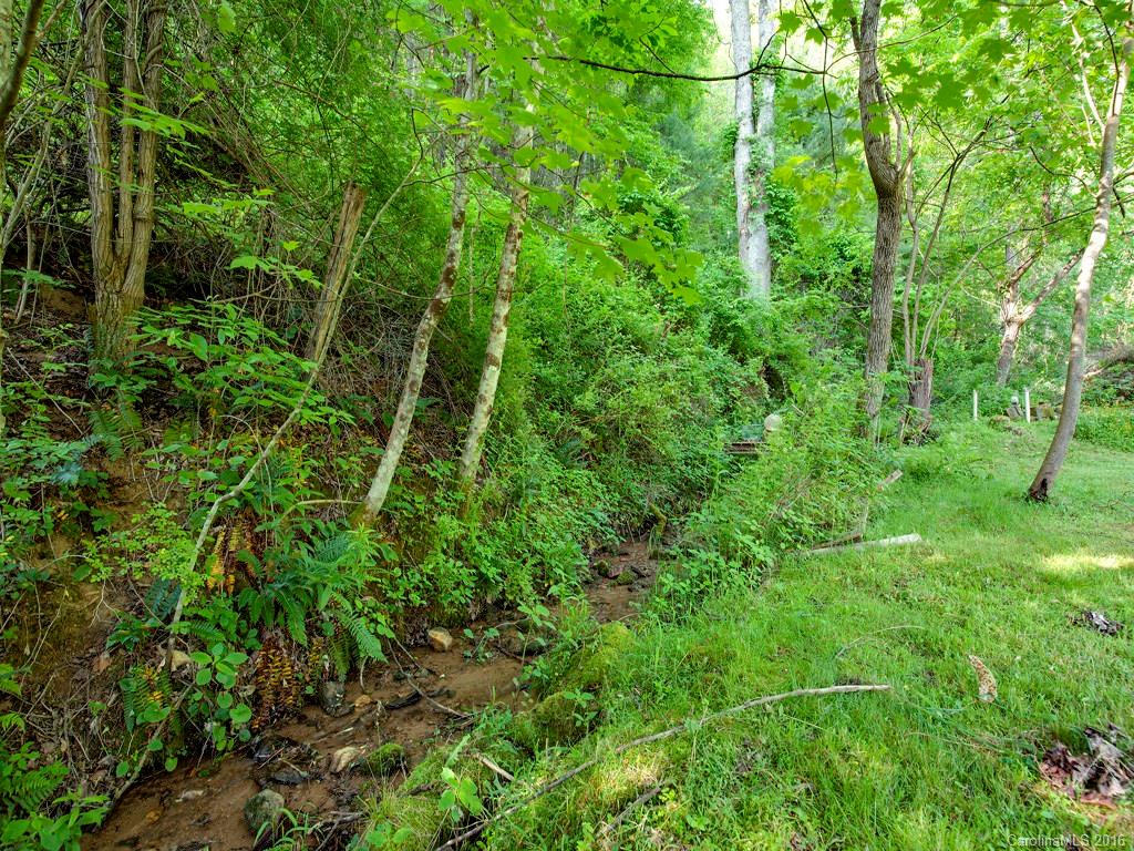 217 Morgan Cove Road Candler NC 28715