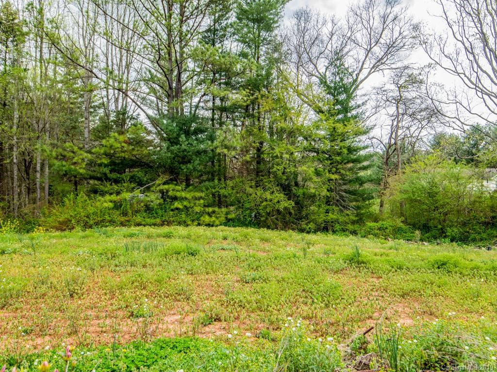49 Rash Road Asheville NC 28806