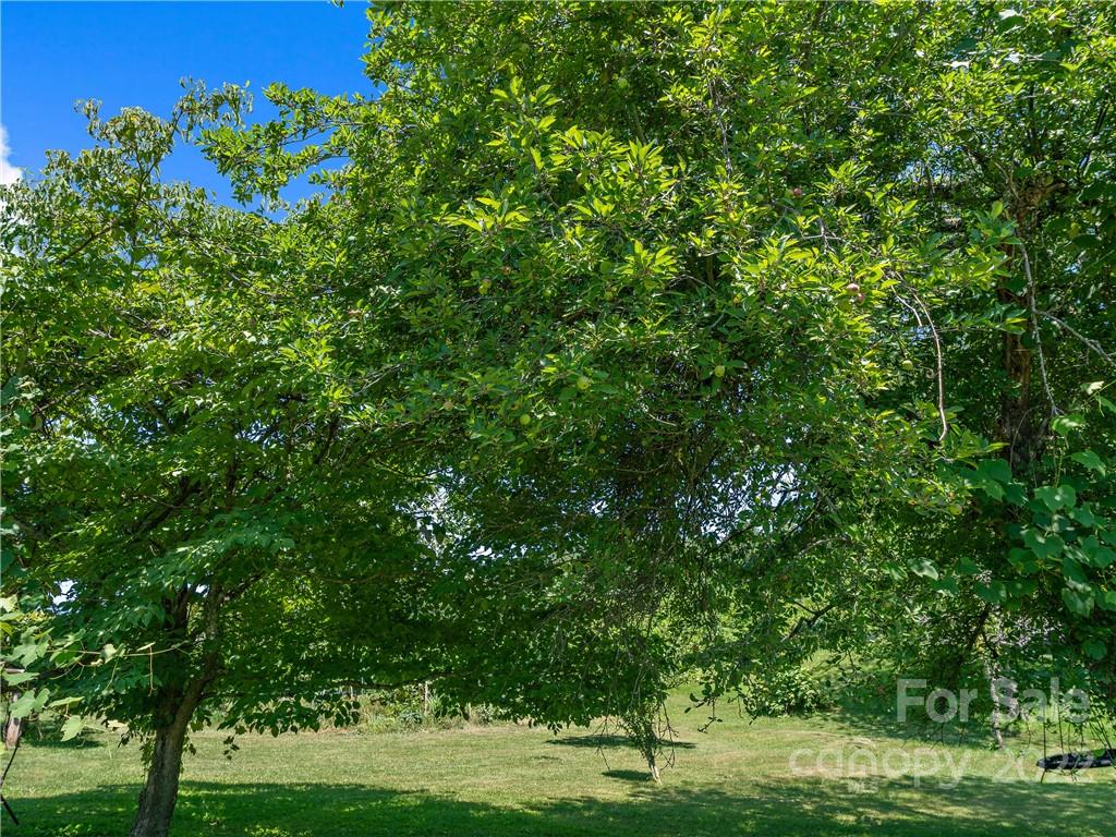 114 Academy Street Burnsville NC 28714