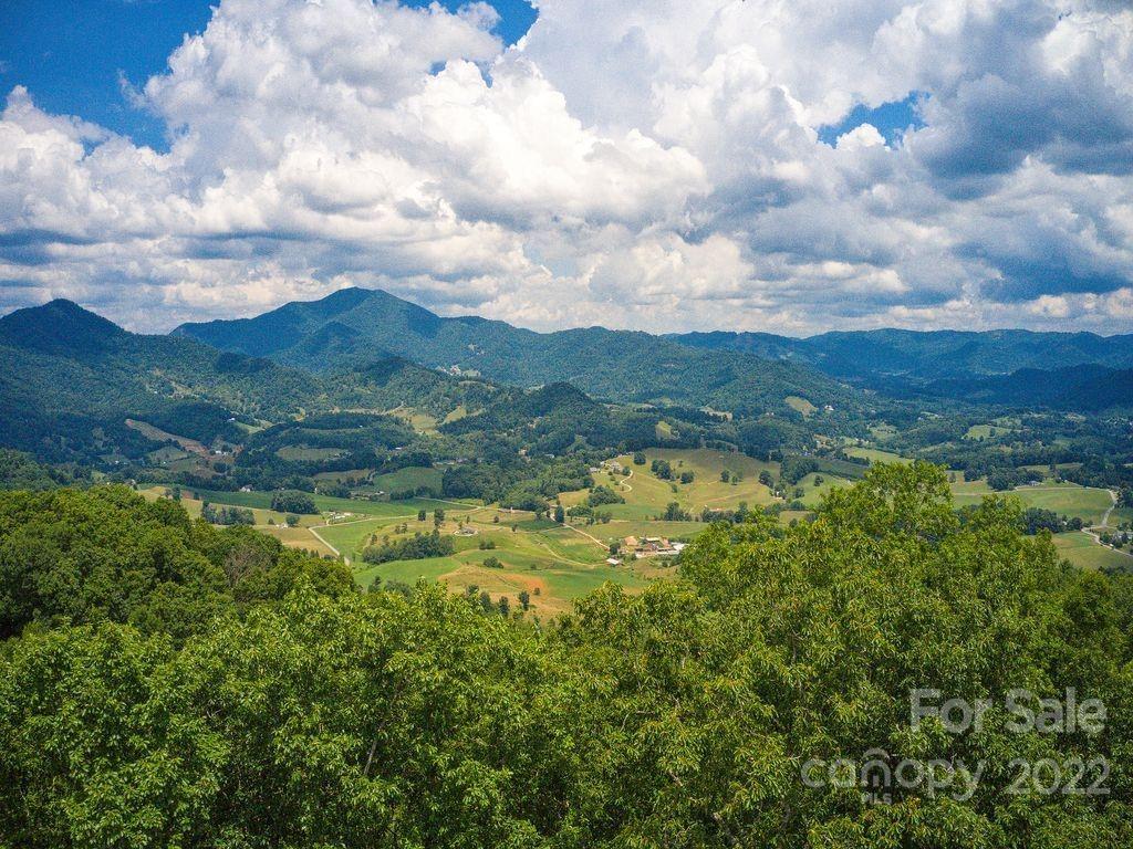 295 Aubrey Trail Waynesville NC 28785