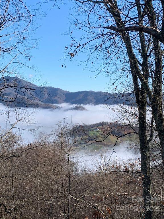 295 Aubrey Trail Waynesville NC 28785