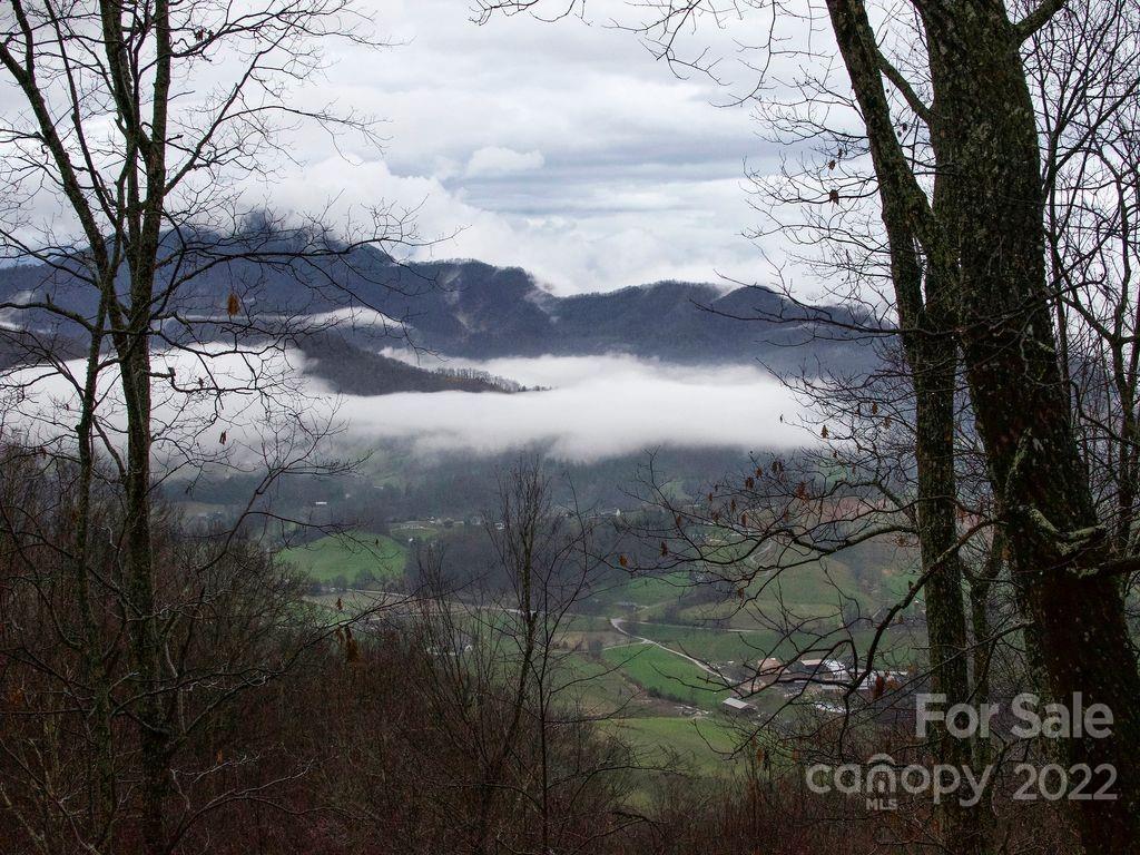 295 Aubrey Trail Waynesville NC 28785