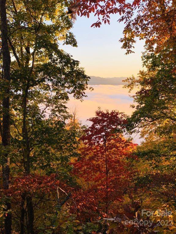 295 Aubrey Trail Waynesville NC 28785