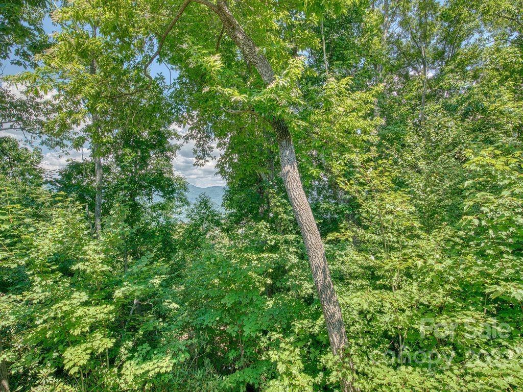 295 Aubrey Trail Waynesville NC 28785