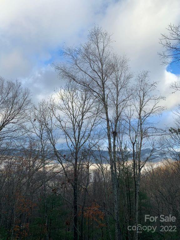 295 Aubrey Trail Waynesville NC 28785