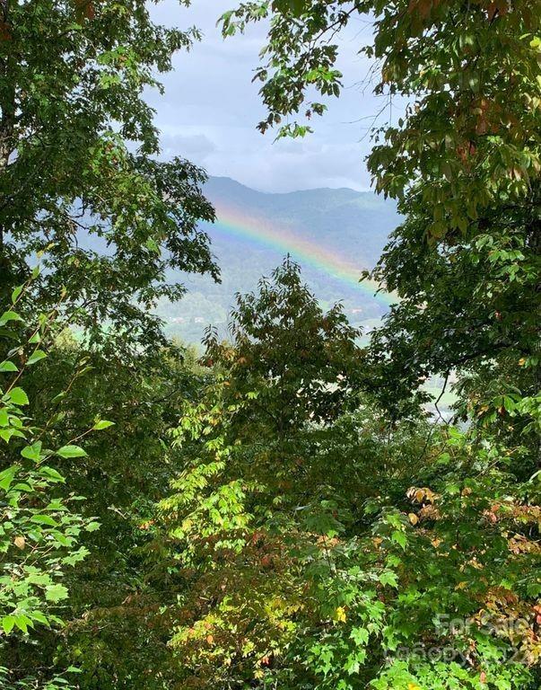 295 Aubrey Trail Waynesville NC 28785