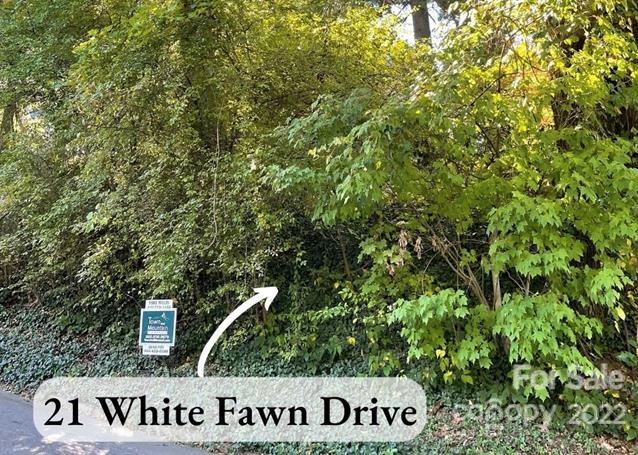 21 White Fawn Drive Asheville NC 28801