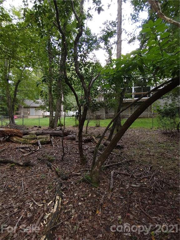 150 French Mill Trail Mills River NC 28759