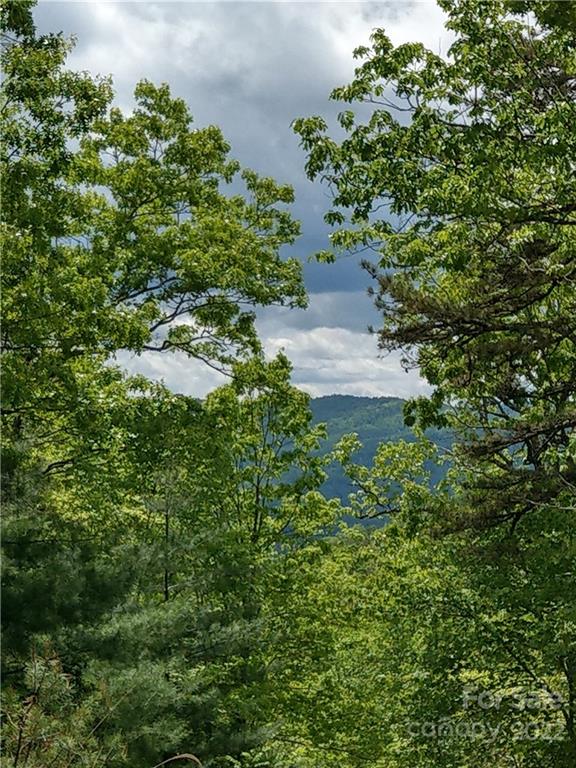 000 Dogwood Lane Penrose NC 28766