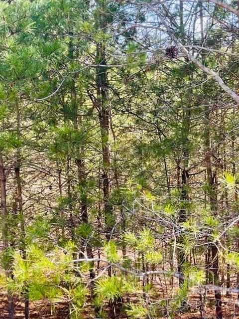 0 Ridge Drive Connelly Springs NC 28612